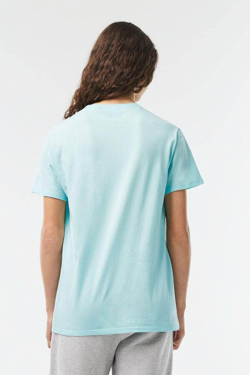 Lacoste t-shirt | Big Boss | the menswear concept